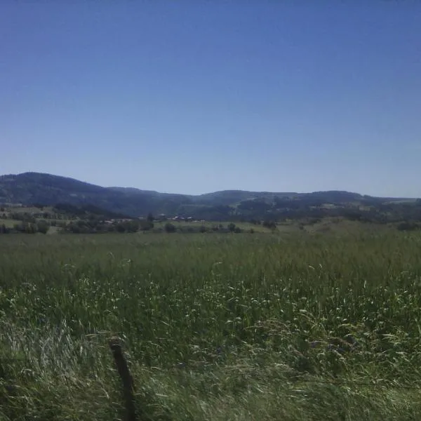 Gite familial à proximité d'une mini ferme, hotel en Saint-Haon
