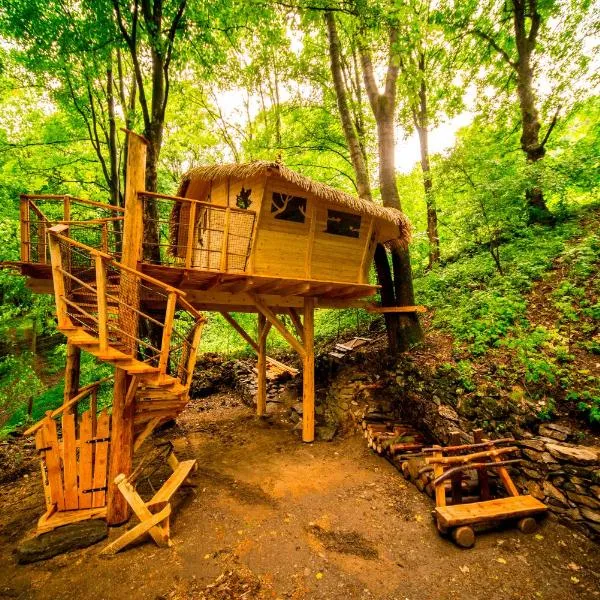 Treehouse pod Jestedem, hotel a Světlá pod Ještědem