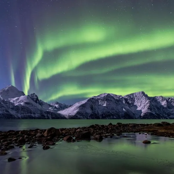 Lyngenfjord,Odins Hus, hotel en Løkvollen