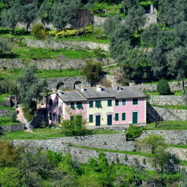 Villa Olivari - apt il Cedro, hotel v mestu Camogli