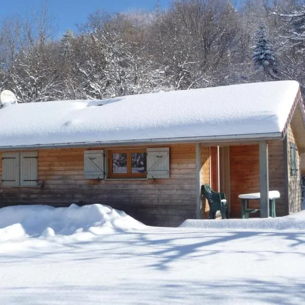 8 Chalets - Les Lodges du Hérisson - à 1500m des cascades, hotel in Bonlieu