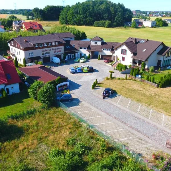 Galeria Pępowo, hotel v destinácii Żukowo