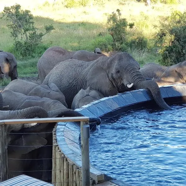 Nambiti Plains, hotel en Nambiti Game Reserve