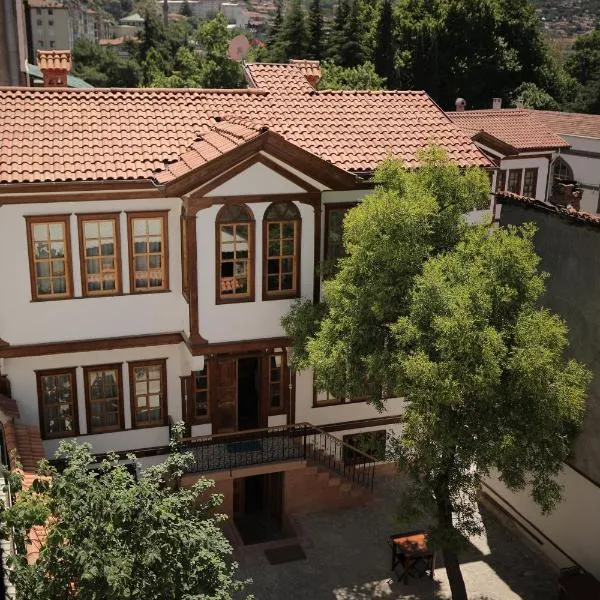 Melekli Konak, hotel in Amasya