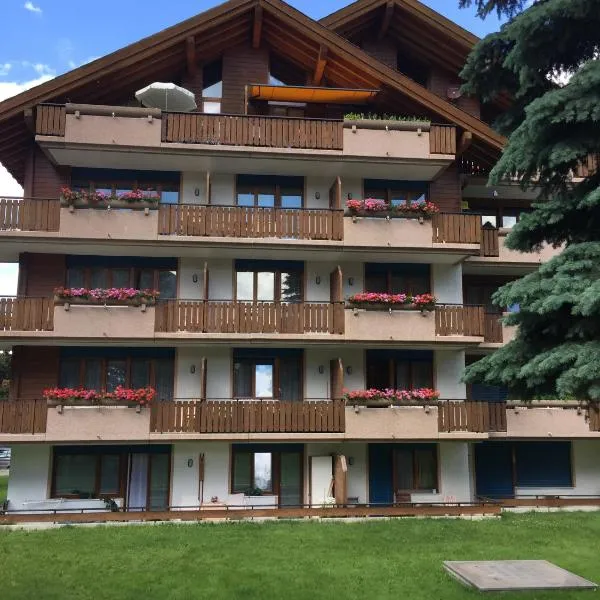 St Martin Apartments: Täsch şehrinde bir otel