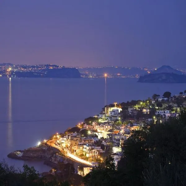 Hotel Villa D'Orta, hotel in Ischia