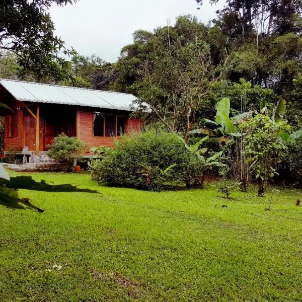 Bird Lover's House, מלון במינדו
