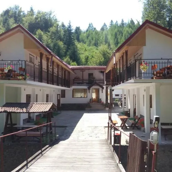 Complex Cazare Balea Transfagarasan, hotel in Cârțișoara