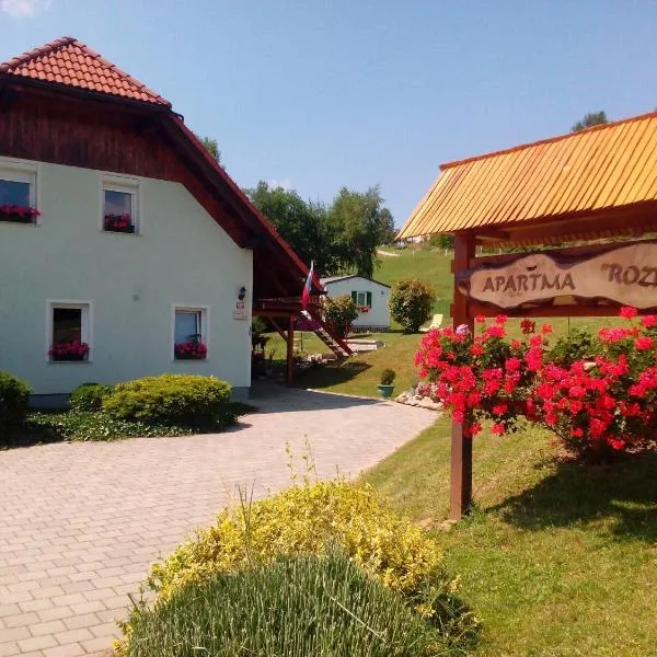 Apartment Rozika, hotel in Slovenj Gradec