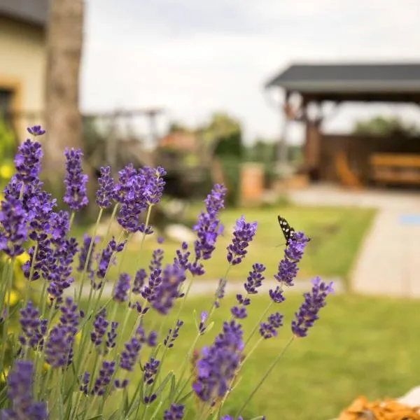 Penzion Živá Pálava, hotel v destinaci Klentnice