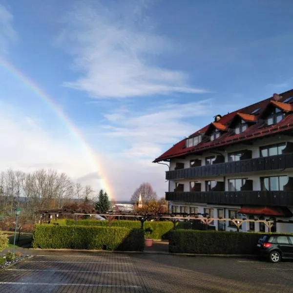 Hotel Drei Konige, hotell i Schramberg