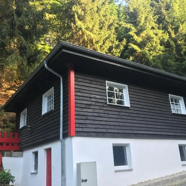 Blockhaus im Kuckuckswinkel, hotell sihtkohas Schöna