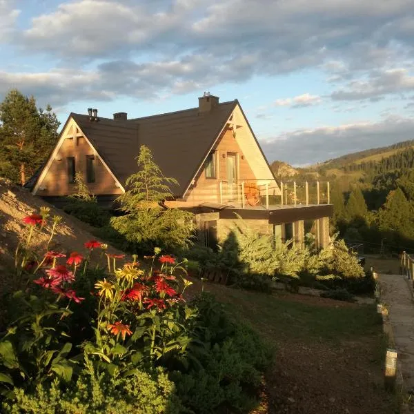 Jaworki Green Dream, hotel in Szczawnica