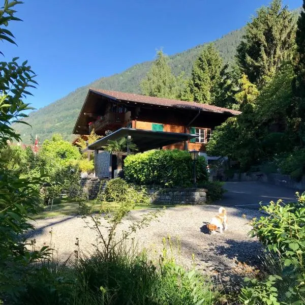 Chalet Rosemarie, מלון ברינגנברג
