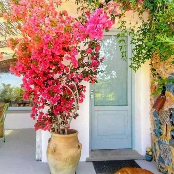 Paradiso verde a poca distanza dal mare, hotel in Agropoli