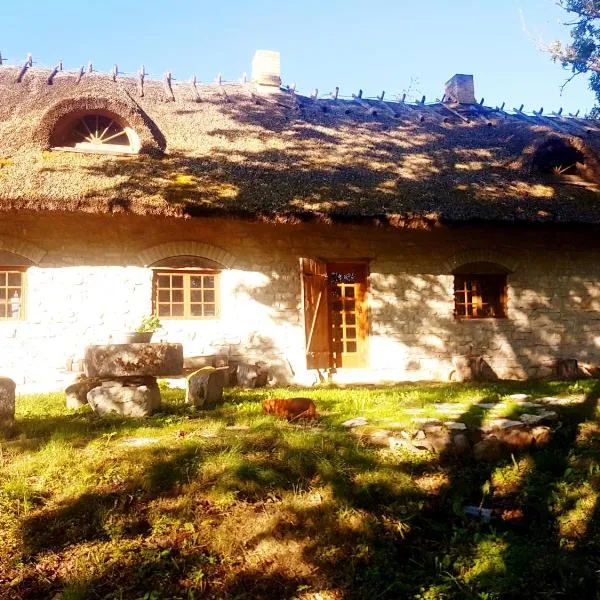 Paali cottages, hotell i Saareküla