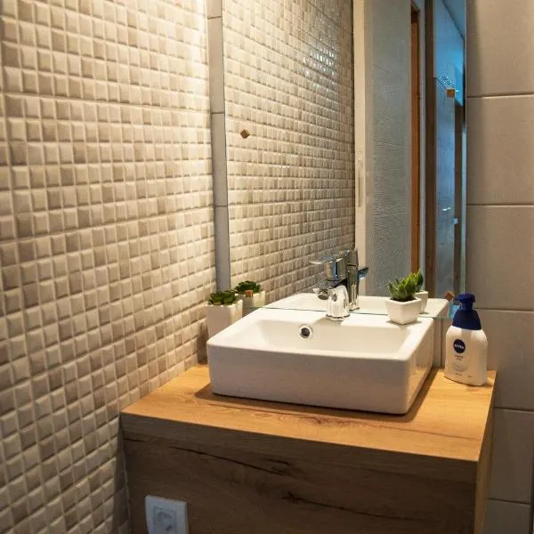 Family apartments, hotel in Novi Sad