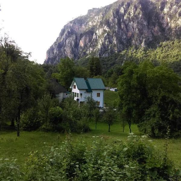 Vila Montana, hotel in Gornja Dobrilovina