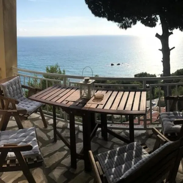 Vicky's Panoramic View Apartments, hotel in Pelekas