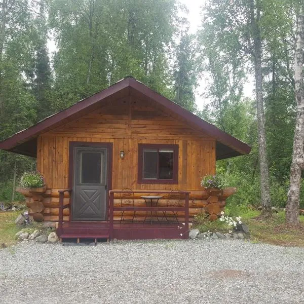 Talkeetna Fireweed Cabins, hotel v destinaci Talkeetna
