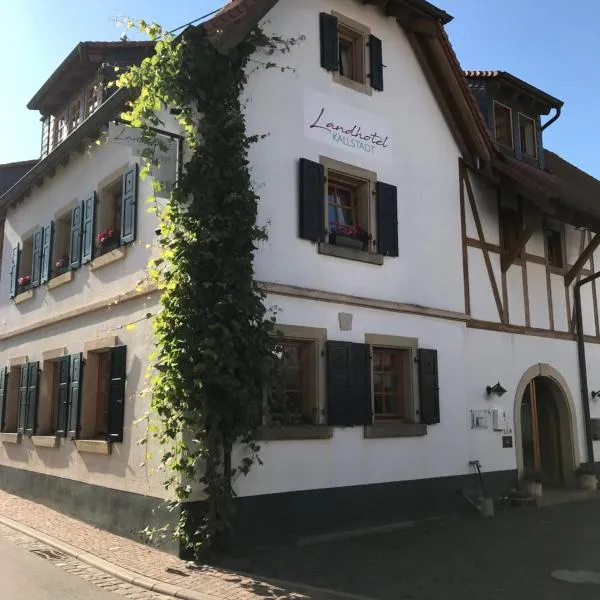 Landhotel Kallstadt, hotel in Mertesheim