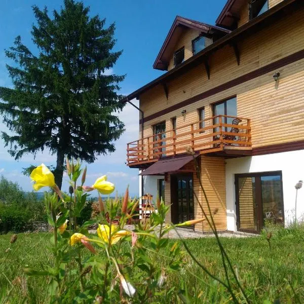 Vila Rem, hotel v destinaci Bran