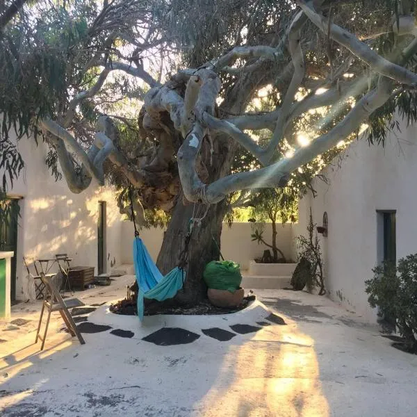 Patio I, Hotel in La Vegueta