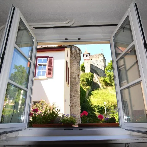 바트 빔펜에 위치한 호텔 Hotel Herberge zur Traube