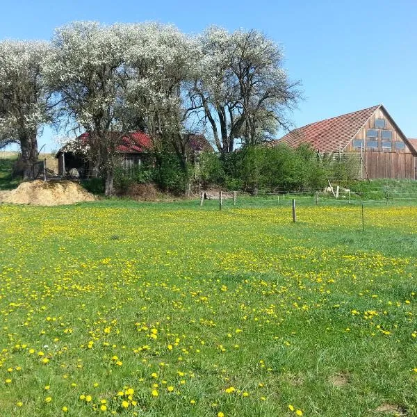 A-Sissy-Hof, hotel di Hofstetten