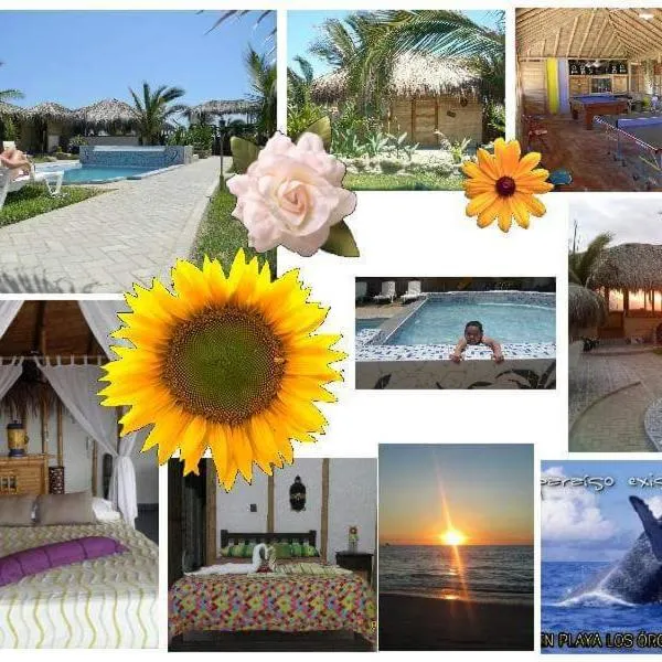 Bora Bora Bungalows, hotel a Los Órganos