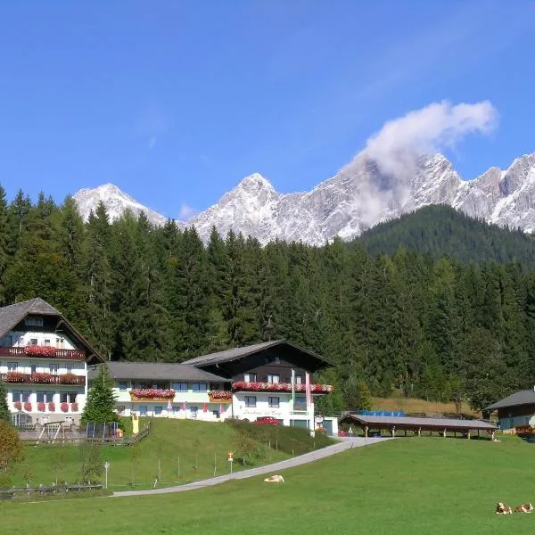 Hotel Tischlbergerhof，達赫施泰因山麓拉姆紹的飯店