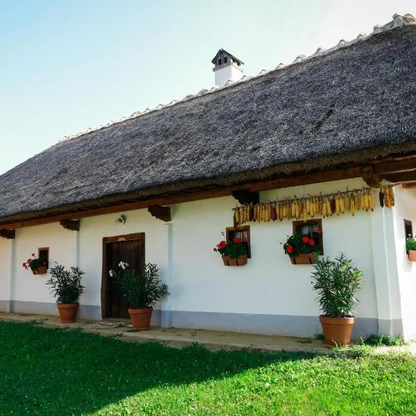 Hrgova hiška, hotel v destinaci Ptuj