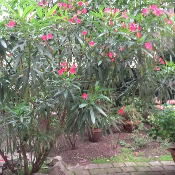 ILE SAINT-LOUIS GLAMOROUS FLAT