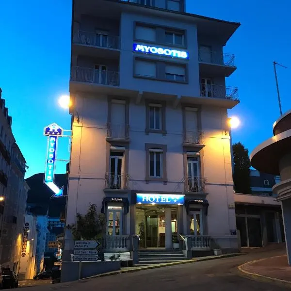 Hôtel Myosotis, готель у Лурді