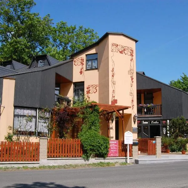 Pension Erika, хотел в Франтишкови Лазне