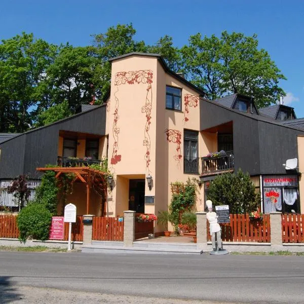 Pension Erika, hotel v destinaci Františkovy Lázně