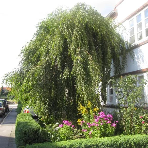 Ferienwohnungen Hebbel, hotel in Husum