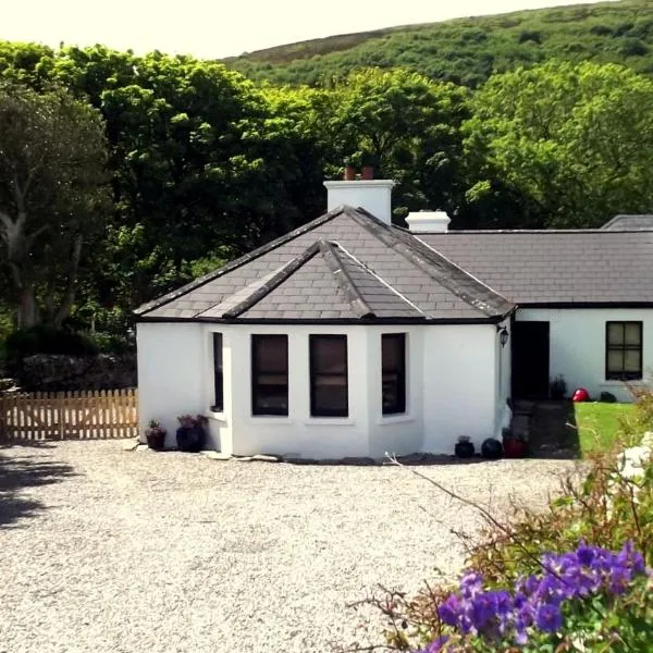 Kilcommon Lodge Holiday Hostel, hotel in Ballinapark