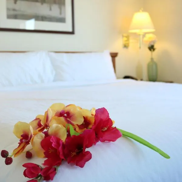 Nomad Hotel & Suites, hotel v destinaci Fort McMurray