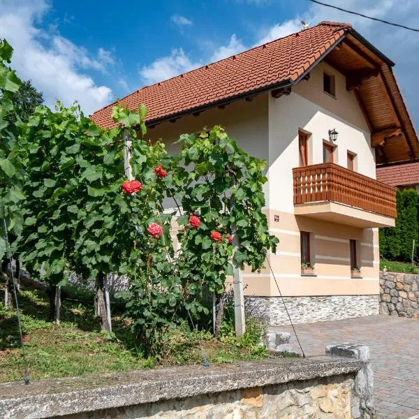 Vineyard Cottage Pod Piramido, hôtel à Dobrnič