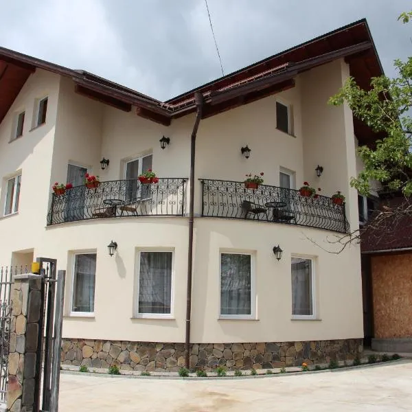 Popasul Călătorului, hotel in Moisei