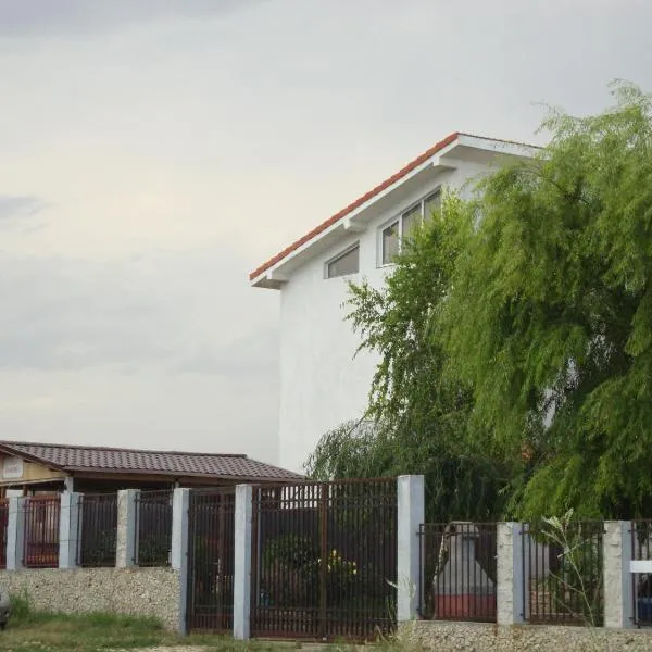 Vila Isabela, hotel en Techirghiol