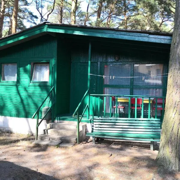 Domki letniskowe Delfin, hotel in Trzebiatów nad Regą