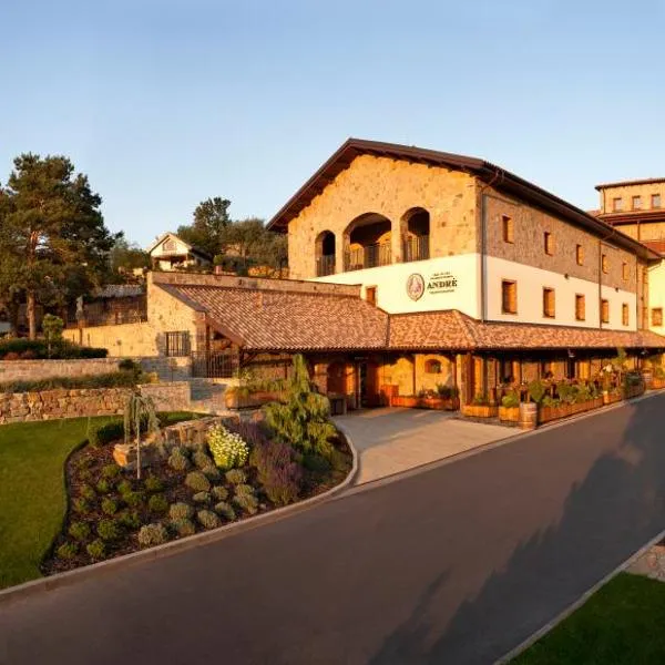 Vinařský penzion André, hotel ve Velkých Pavlovicích