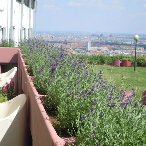 Palace Hostel Vienna, hotel ve Vídni
