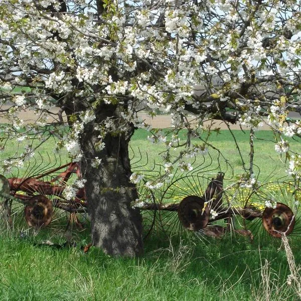 La Roche Pérégrine، فندق في شاتيل-جويْيو