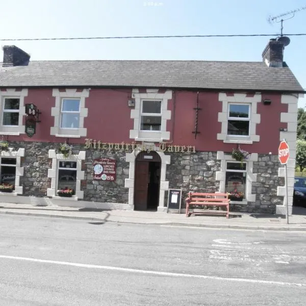 Fitzpatrick's Tavern and Hotel, hotel en Arvagh