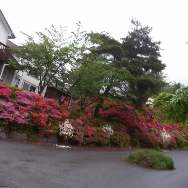 Daecheon Ocean Hill Pension, hotel v destinaci Porjong