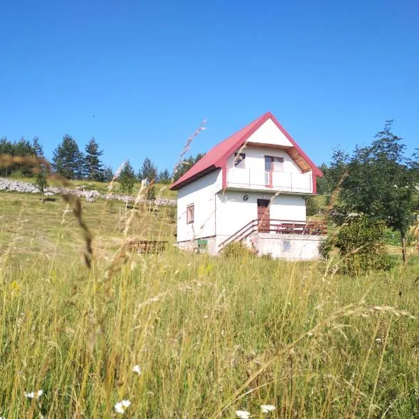 Holiday Home Usovic, hotel Kosanica városában