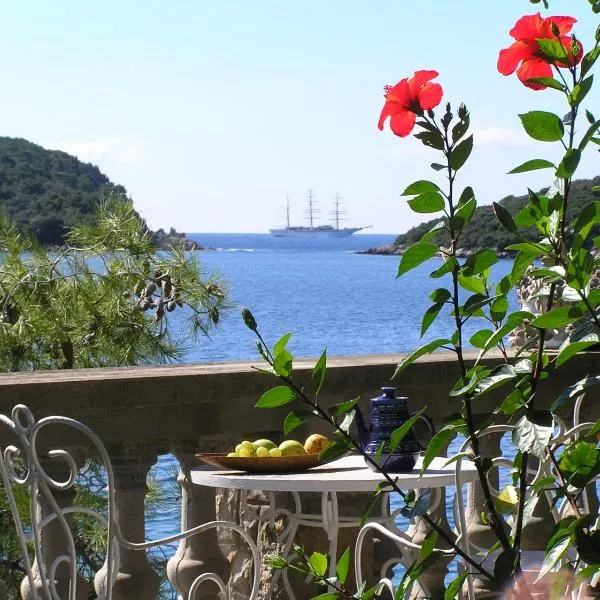 Family Desin Apartments, hotel v destinaci Molunat